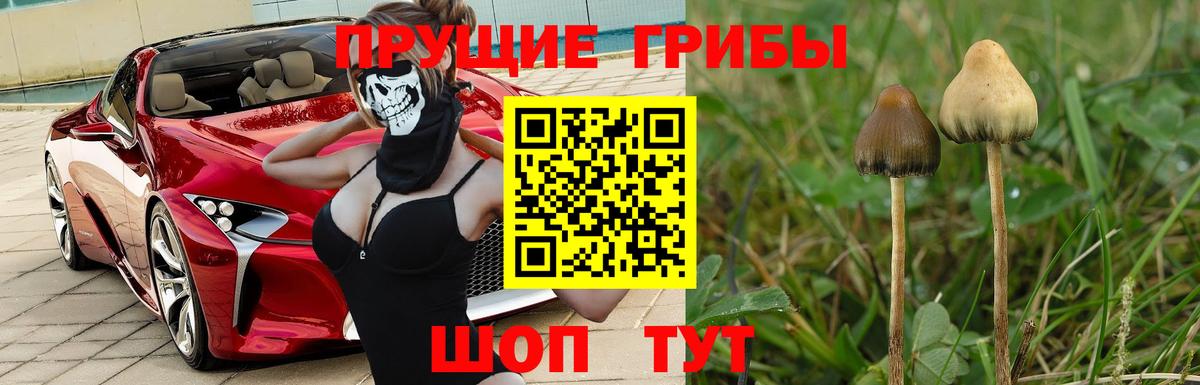 Дальнереченск  Галлюциногенные грибы мицелий  Вход с VPN 